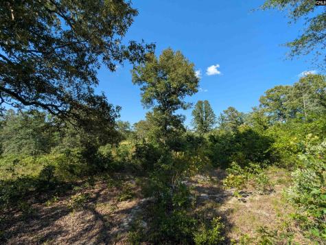 Hound Hollow Road Camden SC 29020