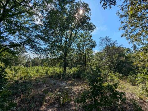 Hound Hollow Road Camden SC 29020