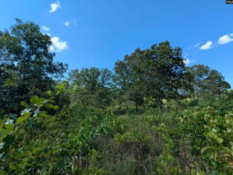 Hound Hollow Road Camden SC 29020