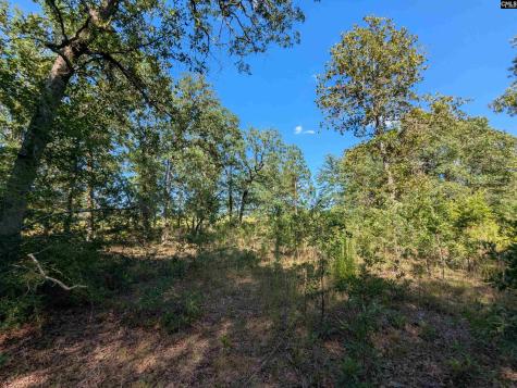 Hound Hollow Road Camden SC 29020