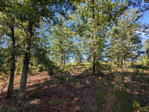 Hound Hollow Road Camden SC 29020