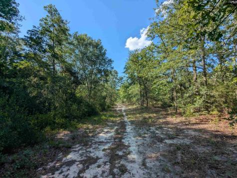 Hound Hollow Road Camden SC 29020