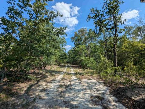 Hound Hollow Road Camden SC 29020