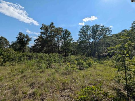 Hound Hollow Road Camden SC 29020