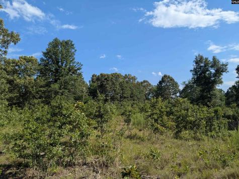 Hound Hollow Road Camden SC 29020