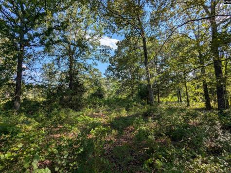 Hound Hollow Road Camden SC 29020