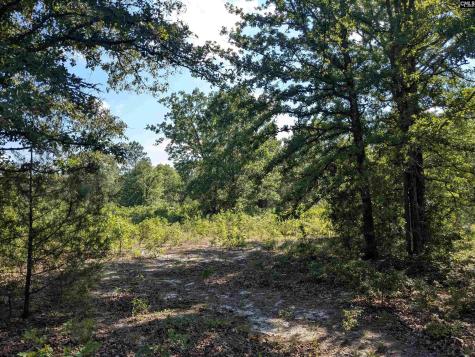 Hound Hollow Road Camden SC 29020