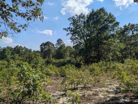 Hound Hollow Road Camden SC 29020