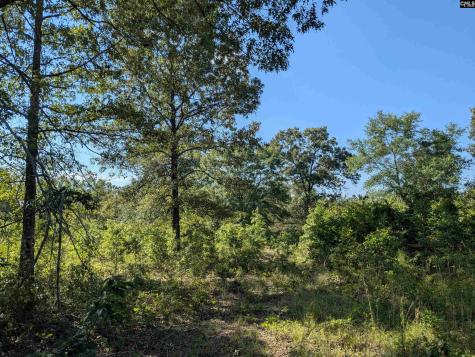 Hound Hollow Road Camden SC 29020