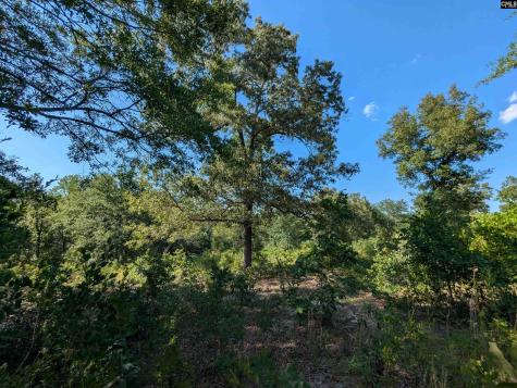 Hound Hollow Road Camden SC 29020