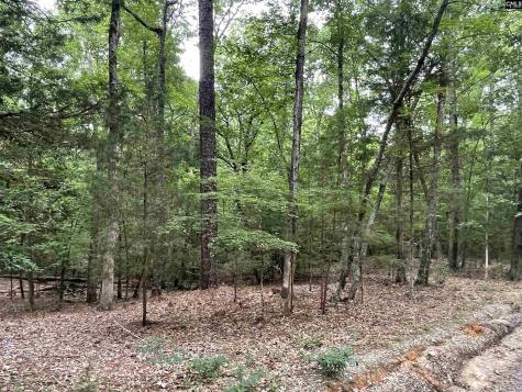 NX173 Annie Adkins Road Irmo SC 29063-9999