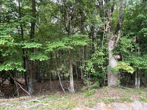 NX173 Annie Adkins Road Irmo SC 29063-9999