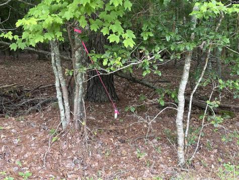 NX173 Annie Adkins Road Irmo SC 29063-9999