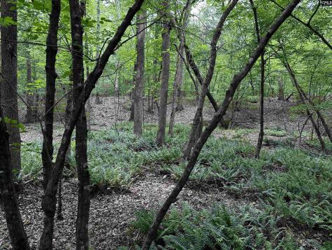 NX173 Annie Adkins Road Irmo SC 29063-9999