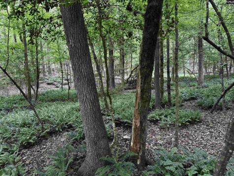 NX173 Annie Adkins Road Irmo SC 29063-9999