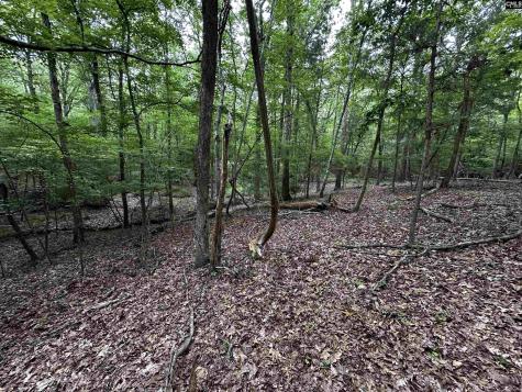 NX173 Annie Adkins Road Irmo SC 29063-9999