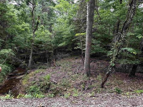 NX173 Annie Adkins Road Irmo SC 29063-9999