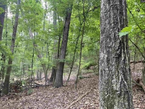 NX173 Annie Adkins Road Irmo SC 29063-9999