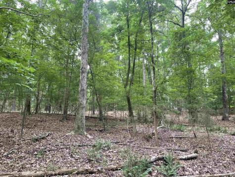 NX173 Annie Adkins Road Irmo SC 29063-9999