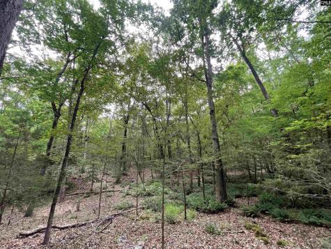 NX173 Annie Adkins Road Irmo SC 29063-9999