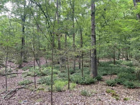 NX173 Annie Adkins Road Irmo SC 29063-9999