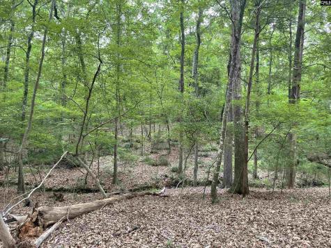 NX173 Annie Adkins Road Irmo SC 29063-9999