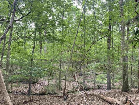 NX173 Annie Adkins Road Irmo SC 29063-9999