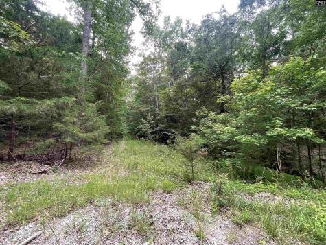 NX173 Annie Adkins Road Irmo SC 29063-9999