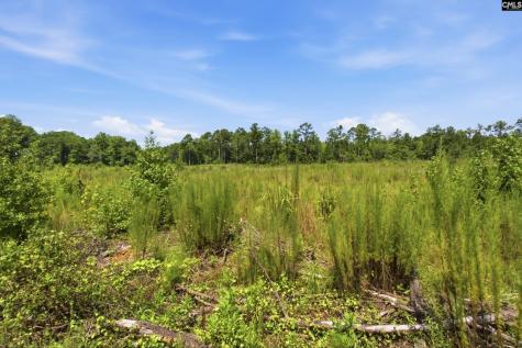3390 Hunter Road Lot 2 Kershaw SC 29067