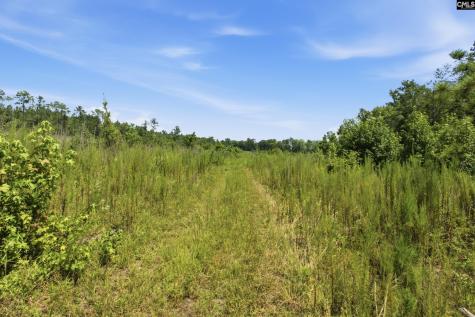 3390 Hunter Road Lot 2 Kershaw SC 29067