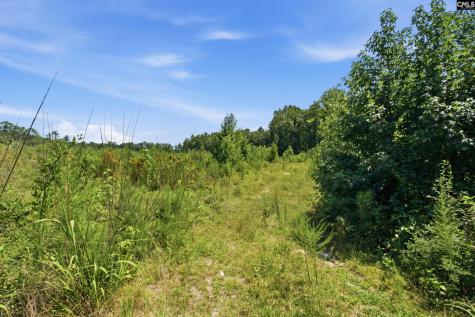 3390 Hunter Road Lot 2 Kershaw SC 29067