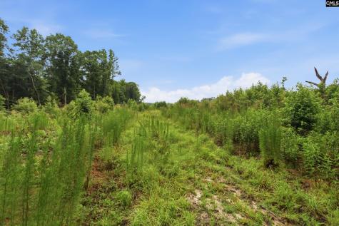 3390 Hunter Road Lot 2 Kershaw SC 29067