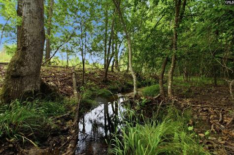 3390 Hunter Road Lot 2 Kershaw SC 29067