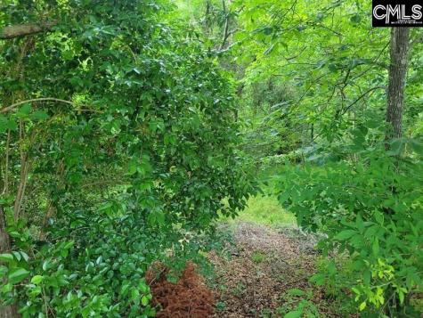 105 River Bluff Court Columbia SC 29210