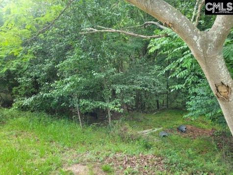 105 River Bluff Court Columbia SC 29210