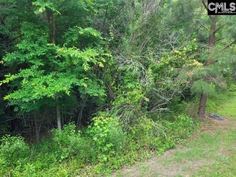 105 River Bluff Court Columbia SC 29210