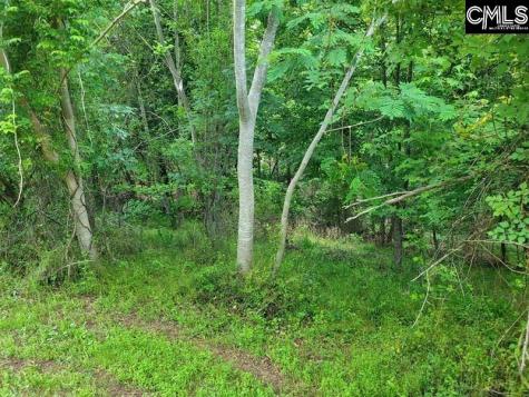 105 River Bluff Court Columbia SC 29210