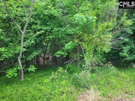 105 River Bluff Court Columbia SC 29210