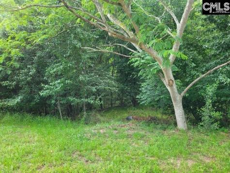 105 River Bluff Court Columbia SC 29210