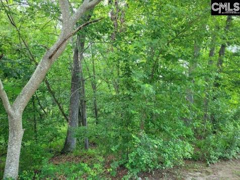 105 River Bluff Court Columbia SC 29210