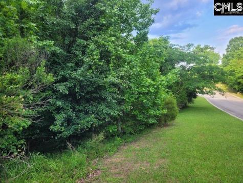 105 River Bluff Court Columbia SC 29210