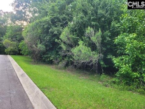 105 River Bluff Court Columbia SC 29210