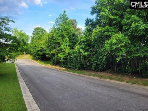 105 River Bluff Court Columbia SC 29210