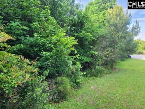 105 River Bluff Court Columbia SC 29210