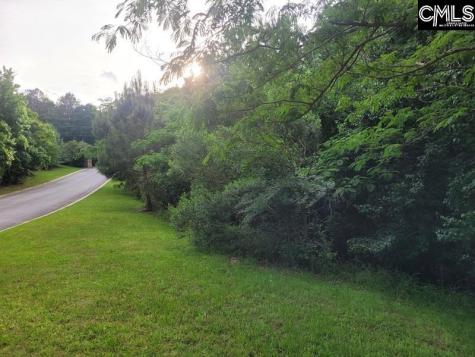 105 River Bluff Court Columbia SC 29210