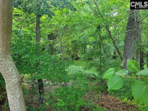 105 River Bluff Court Columbia SC 29210