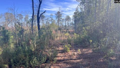 Tbd Epps Road Manning SC 29102