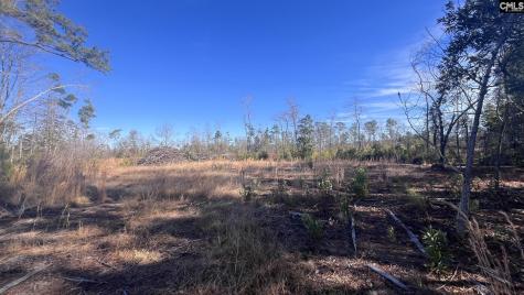 Tbd Epps Road Manning SC 29102