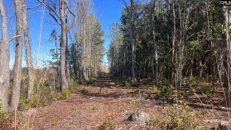 Tbd Epps Road Manning SC 29102