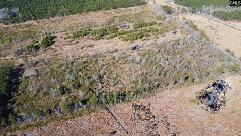 Tbd Epps Road Manning SC 29102